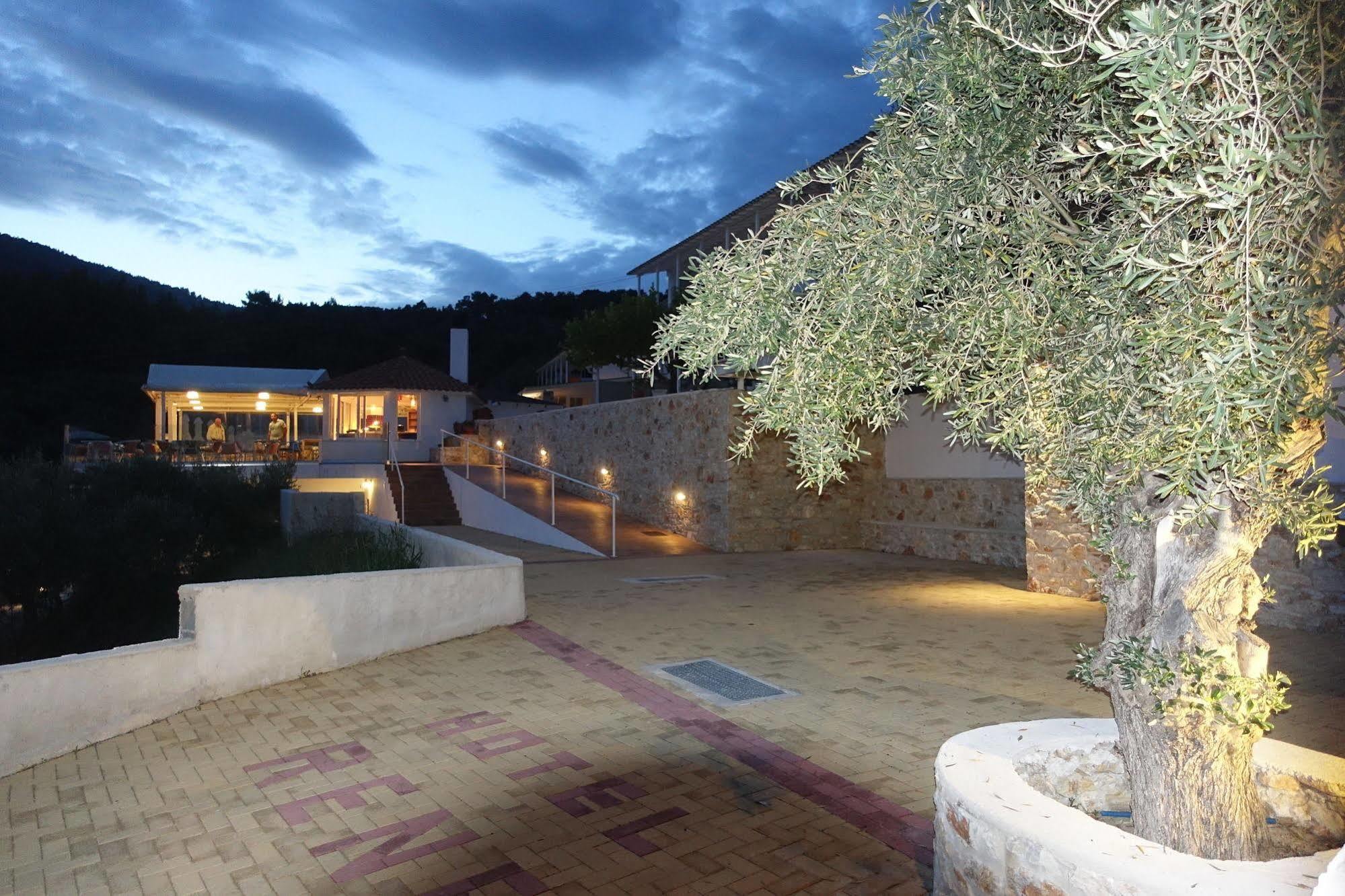 Hotel Rene à Skiathos Chora Extérieur photo